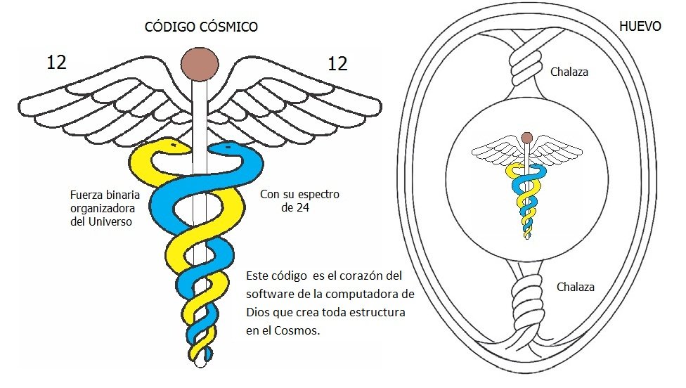 caduceo y toroide